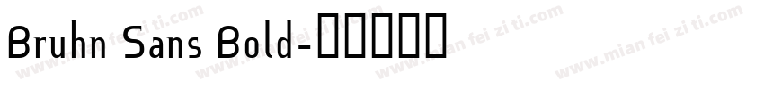 Bruhn Sans Bold字体转换